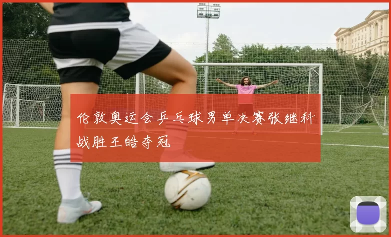 伦敦奥运会乒乓球男单决赛张继科战胜王皓夺冠