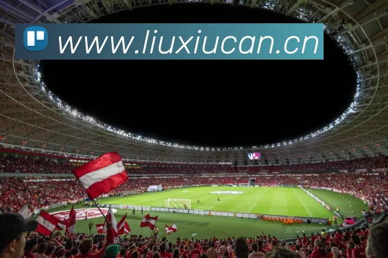 多媒体互动体验